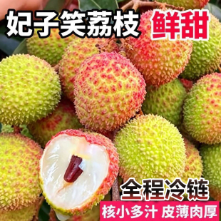 正宗2026年海南妃子笑荔枝3斤