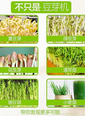 豆芽机家用全自动 商用三层发豆芽盆双层生豆芽罐 c 绿色2层
