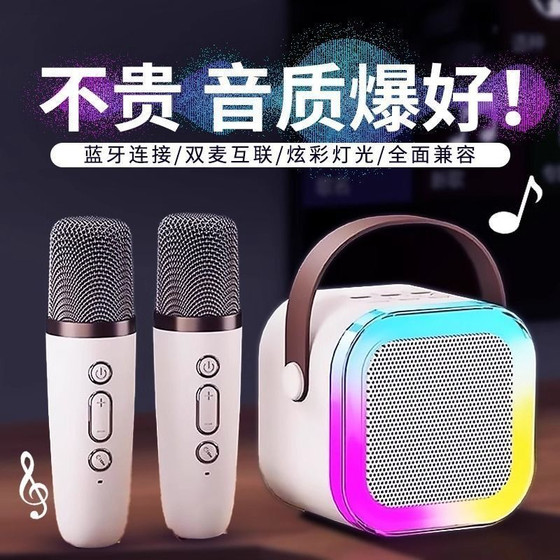 迷你音箱音响蓝牙唱歌话筒无线点歌家庭麦克风KTV一体机儿童礼物