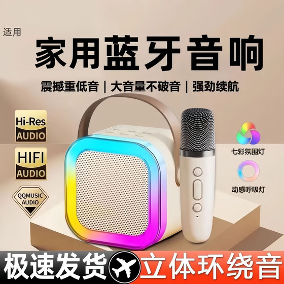 迷你音箱音响蓝牙唱歌话筒无线点歌家庭麦克风KTV一体机儿童礼物