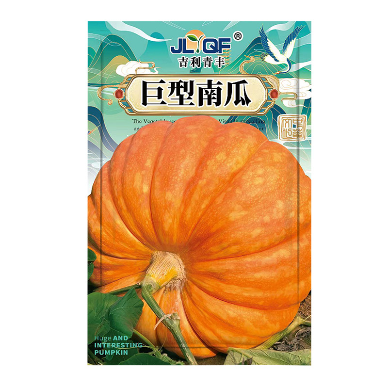 巨型南瓜种孑特大南瓜种子高产抗病四季观赏食用易种蔬菜种籽大全 - 图3