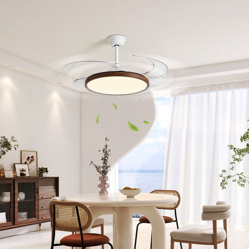 全光谱隐形风扇灯护眼客厅餐厅吊灯现代极简房间卧室新款吊扇灯具,淘宝优惠券,粉丝福利购,淘宝优惠卷