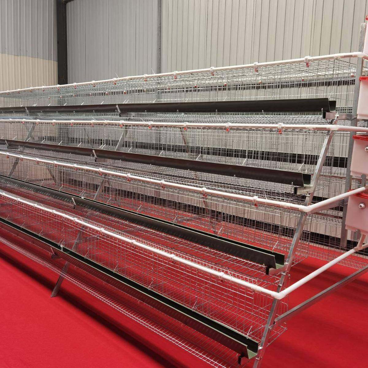 阶梯蛋鸡笼A型镀锌丝鸡笼立式养鸡设备鸡舍多层鸡窝加粗鸡笼底网,淘宝优惠券,粉丝福利购,淘宝优惠卷