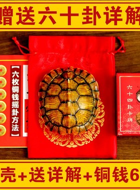 天然精品真乌金龟壳真龟甲文玩6六爻铜钱易经64卦算挂摇卦手把件