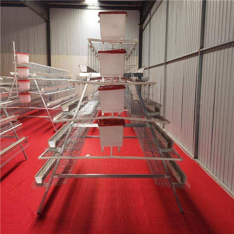 阶梯式蛋鸡笼出口全自动全套养殖多层鸡笼镀锌蛋鸡笼设备供应,淘宝优惠券,粉丝福利购,淘宝优惠卷