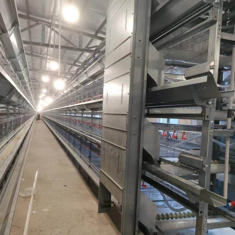 立式自动化养殖设备全自动框架养鸡笼鸡舍养鸡场层叠式H型鸽子笼,淘宝优惠券,粉丝福利购,淘宝优惠卷
