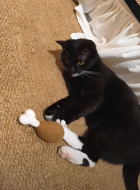毛线大鸡腿逗猫棒材料包解压