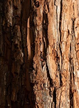 仿真木桩树桩假仿木桩圆木墩商场服装店橱窗造景装饰道具木头桩子
