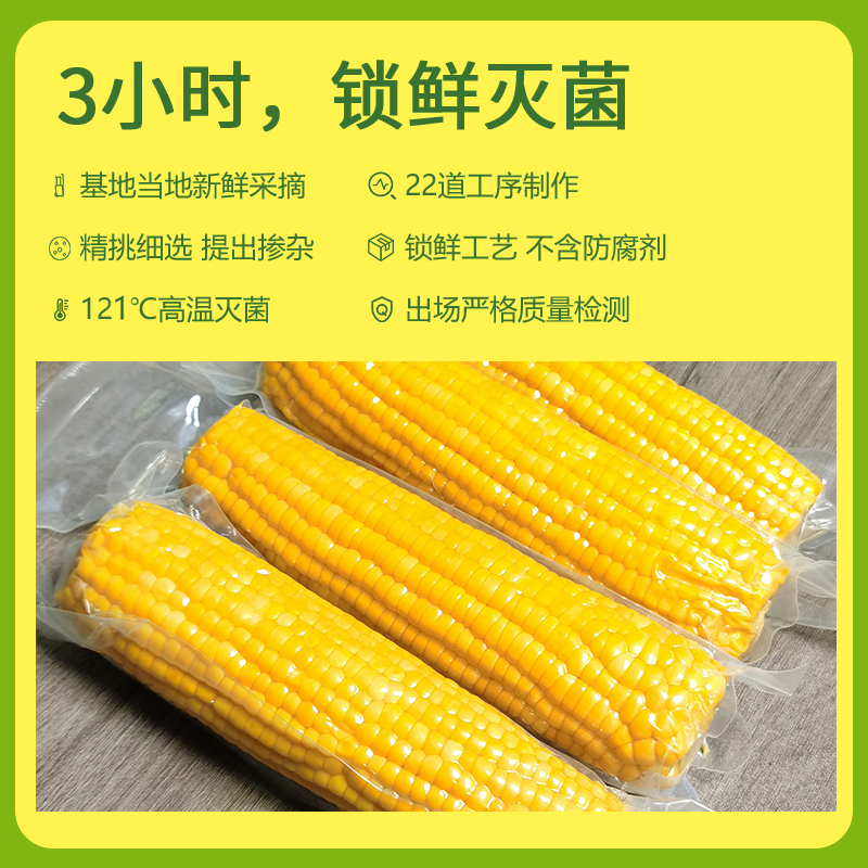 辰旭稼禾东北黄糯玉米新鲜大粒黑土地苞米真空锁鲜嫩苞谷软糯香甜