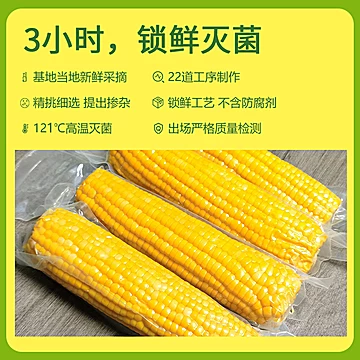 东北玉米真空锁鲜黄糯玉米250g*8支到手4斤[12元优惠券]-寻折猪