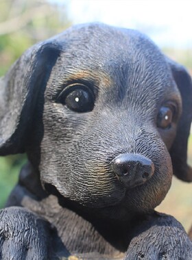 招财户外花园园林迎宾狼狗摆件庭院景观仿真动物装饰品工艺品雕塑