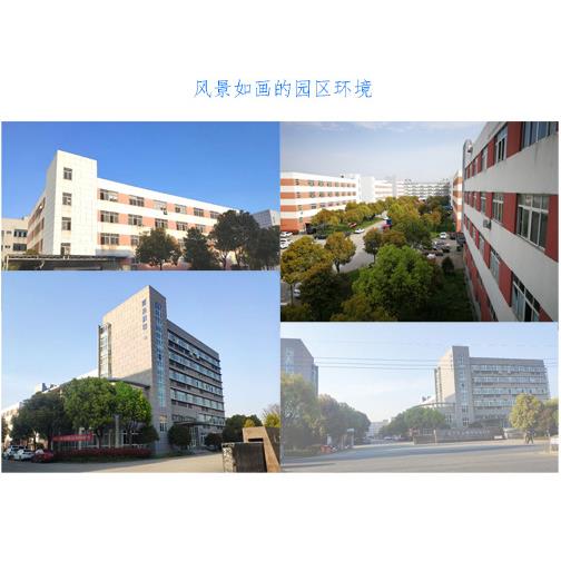 Four-sided sealing four-sided sealing packaging machine disposable glove packaging machine Jiaxing Zhongming Intelligent Equipment