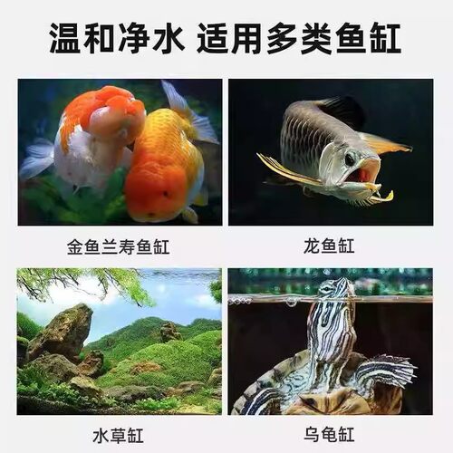 鱼缸吸色片纸净水宝除臭净化水质清澈剂鱼缸除腥祛鱼缸清洁去黄水 - 图1