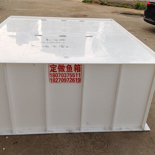 PP水箱长方形加厚养殖鱼箱运输车载水箱定制焊接酸Z洗槽养殖箱 - 图0