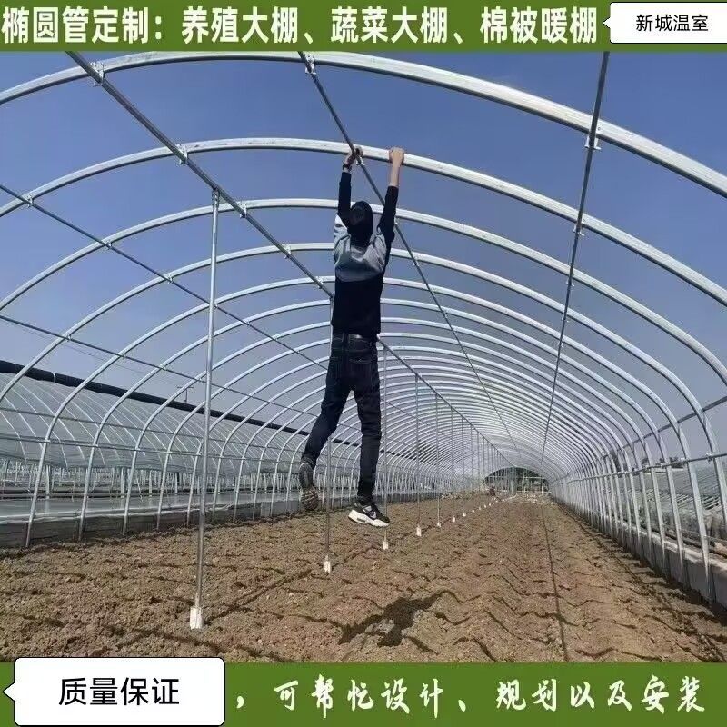 家用养鸡棚全套定制养殖猪牛羊棚椭圆管棚定制简易连体棚种植蔬菜 - 图2