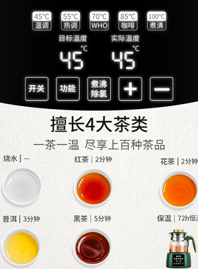 电茶炉办公室小型喷淋式煮茶器家用自动养生泡茶烧水壶蒸汽蒸茶壶
