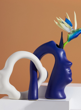 陶瓷艺术花瓶插花器摆件家居饰品创意客厅酒柜样板房装饰品高级感