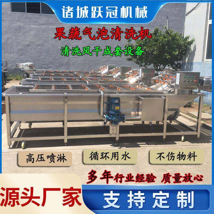 西红柿千禧果清洗机秋葵菠菜清洗机洋白菜柿子椒清洗设备,淘宝优惠券,粉丝福利购,淘宝优惠卷