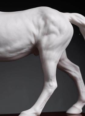 国海中国白德陶瓷高骏马创意志D25-63D在千里摆件开 业乔迁新居蔡