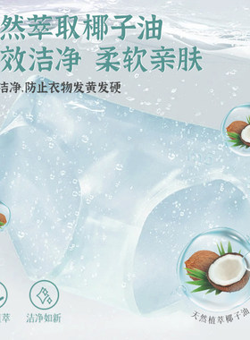 滴渌壹号内衣专洗液贴身衣物洗衣液女士除菌祛血渍污渍清香500g