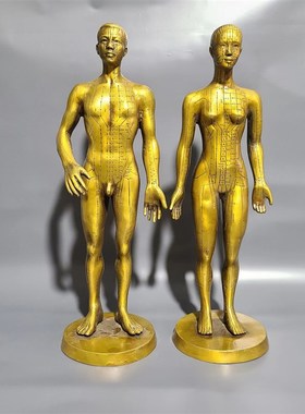 纯铜穴位人针灸人体经络中医文化馆展示男女铜人模型摆件装饰礼品