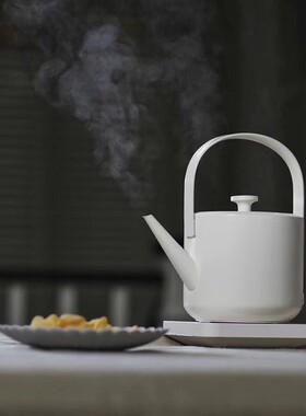 小提汀壶 自动断电提梁烧水壶泡茶壶家用304不锈钢电热水壶快速壶