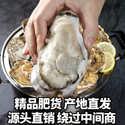 生蚝鲜活6斤带箱海鲜水产