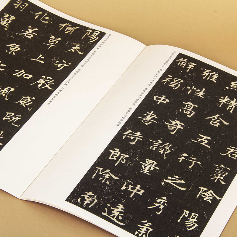 正版中国历代名碑名帖精选·张黑女墓志 经典精选古代名人书法字帖,淘宝优惠券,粉丝福利购,淘宝优惠卷