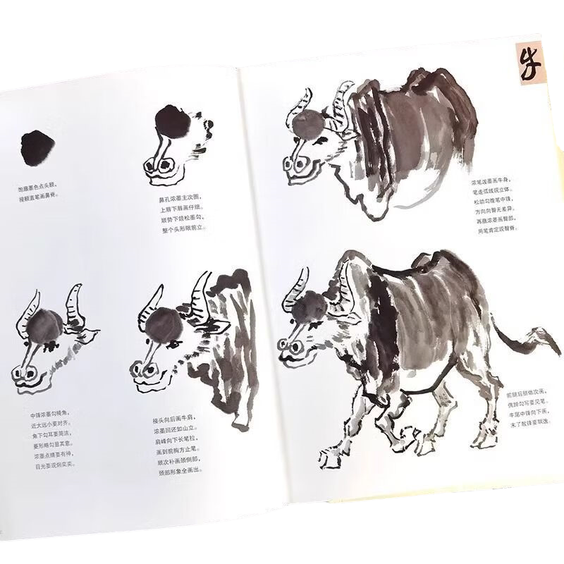 正版怎样画牛 国画基础写意画牛技法画牛范画特征动态写真构图 - 图1