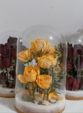 干花保存瓶软木塞收藏盒鲜景观展示摆件小王子玫瑰花束diy玻璃罩
