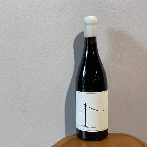 南非原瓶进口车库酒庄膜拜酒Savage萨维奇神索红酒传承干红葡萄酒 - 图1