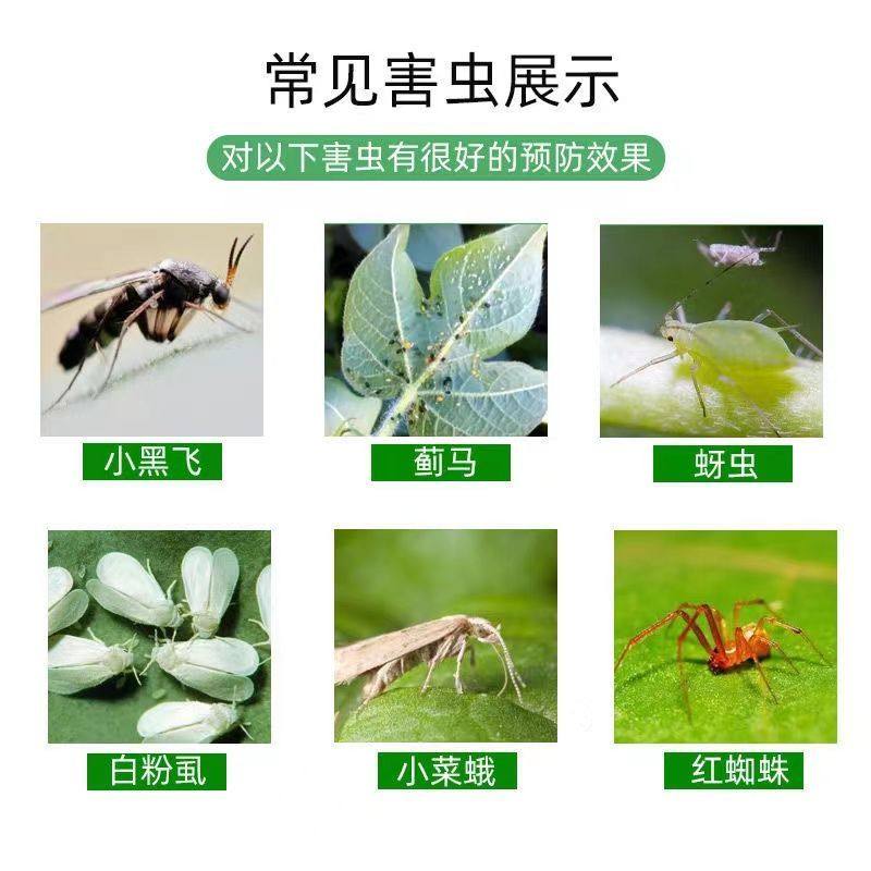 菜地园艺生物防虫片花卉绿植糖化硼肥片预防小黑飞蚜虫园艺防虫片,淘宝优惠券,粉丝福利购,淘宝优惠卷