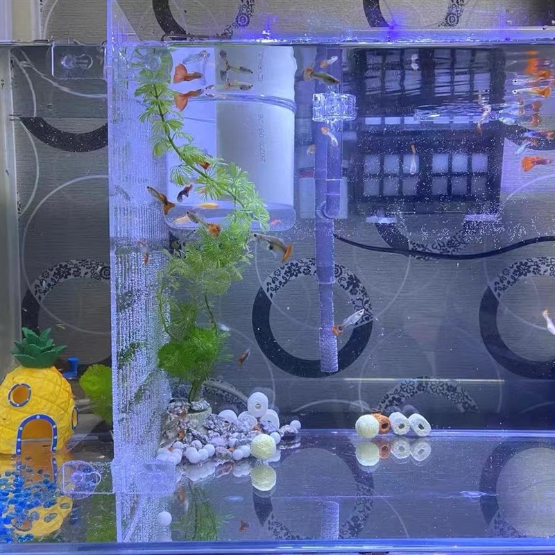 高透明亚克力鱼缸隔板分离板盖板任意尺寸定制定做 - 图1