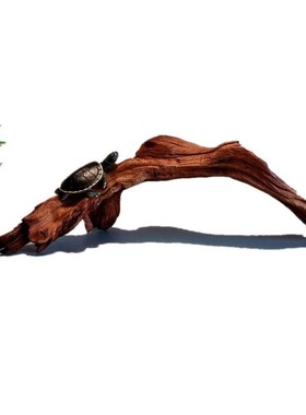 枯木鱼缸造景紫柚木精品小号沉木迷你水族装饰树桩晒