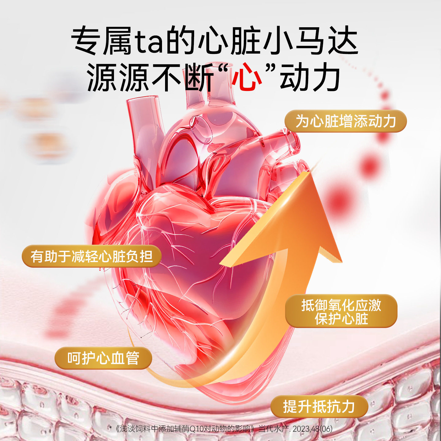 辅酶Q10护心胶囊猫咪狗狗通用呵护心脏心肌肥大老年犬营养保健品,淘宝优惠券,粉丝福利购,淘宝优惠卷