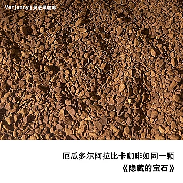 【Verjenny】精选阿拉比卡冻干黑咖啡[100元优惠券]-寻折猪