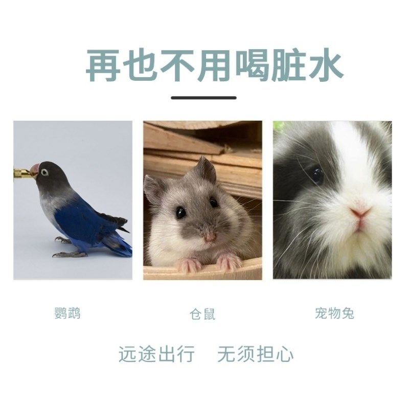 鹦鹉撞针饮水器八哥鸟用宠物自动喂水器玄风小太阳专用咬针喝水壶,淘宝优惠券,粉丝福利购,淘宝优惠卷