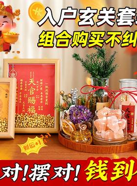 家居玄关入户摆件肉桂生财粗盐净宅大颗粒电视餐柜招财客厅装饰