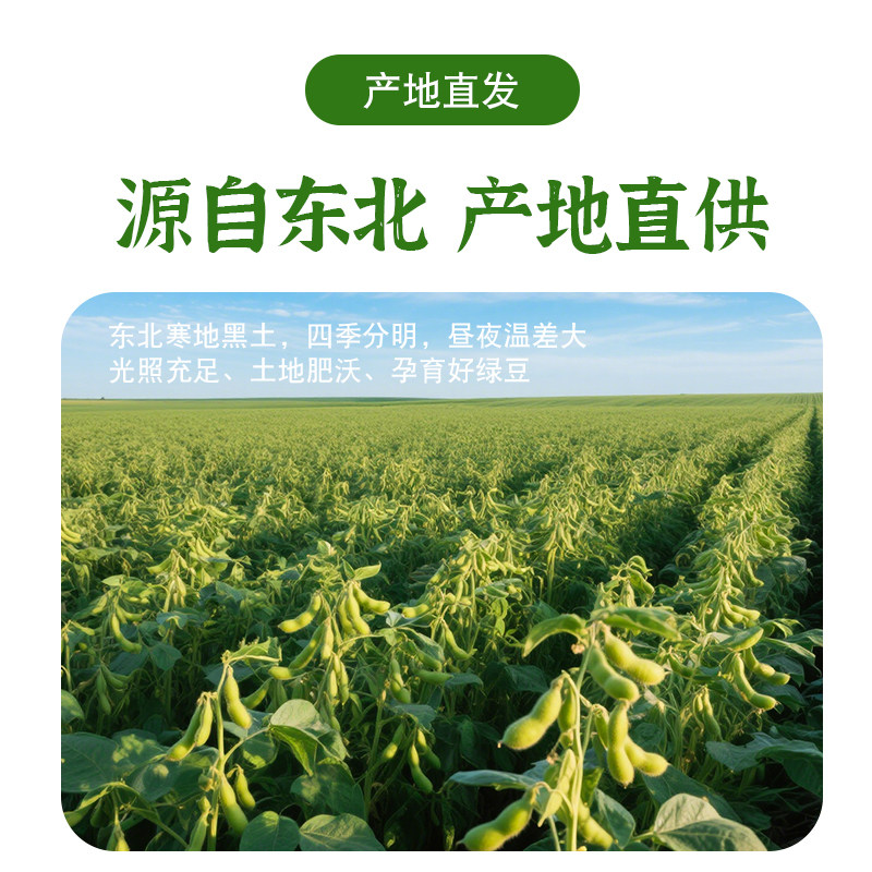 新货东北绿豆25年农家自产皮薄解暑新鲜绿豆汤粥糕发豆芽豆类杂粮,淘宝优惠券,粉丝福利购,淘宝优惠卷