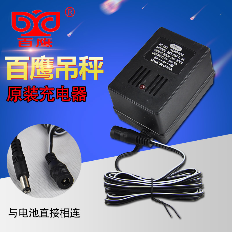 百鹰电子吊钩秤吊磅外壳蓄电池充电器0kg0kg3T50行车称电瓶 - 图2