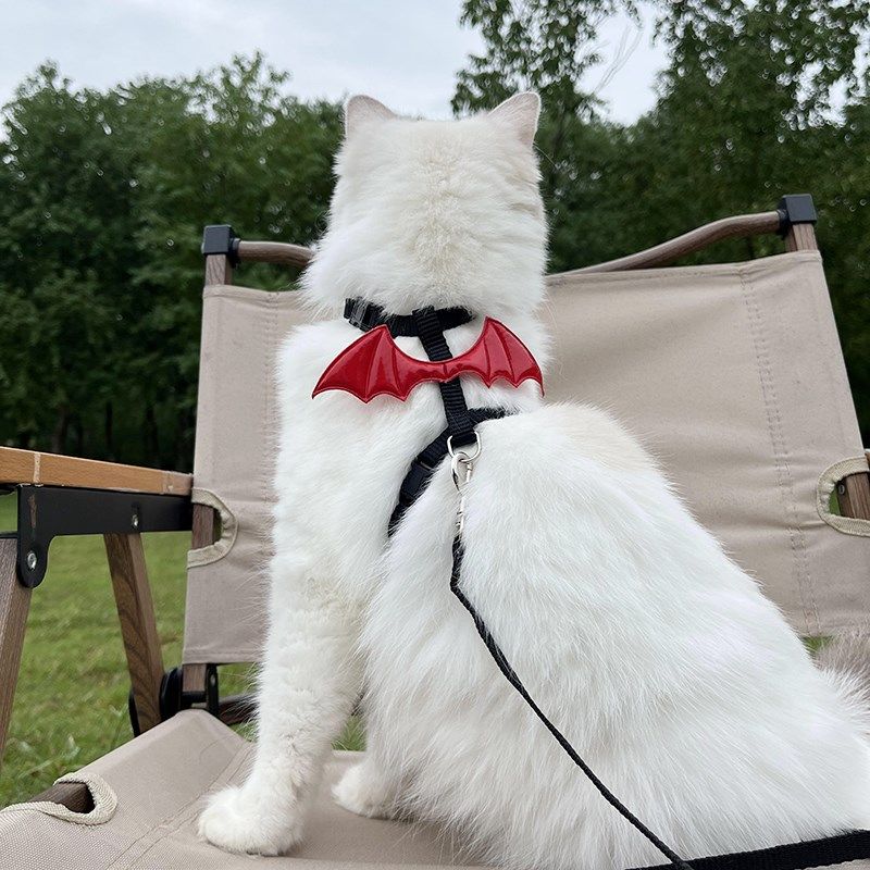 恶魔翅膀猫咪牵引绳外出专用防挣脱猫绳小型犬宠物牵狗遛狗溜猫绳,淘宝优惠券,粉丝福利购,淘宝优惠卷