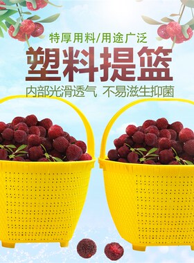 塑料提篮捡菌水果送饭野餐提篮家用购物篮饮料提篮买菜篮采摘篮子