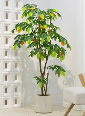 仿真柠檬树绿植盆栽植物服装店B绿植橱窗装饰仿生假绿植橘子树