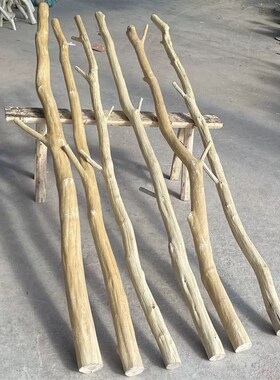 去皮枯木树干客厅摆件幼儿园环创搭配玄关屏风干树枝隔断装饰