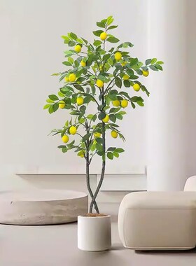 仿真绿植柠檬树盆栽高端假植物室内沙发旁落地景观装饰摆件造景