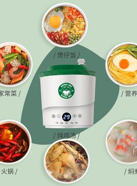 宿舍一个人的迷你多功能一体w电煮锅小型1一2人泡面锅便携小型火