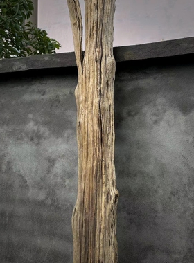风化木圆木柱子老物件侘寂风空间装饰原木朽木枯木树枝树干