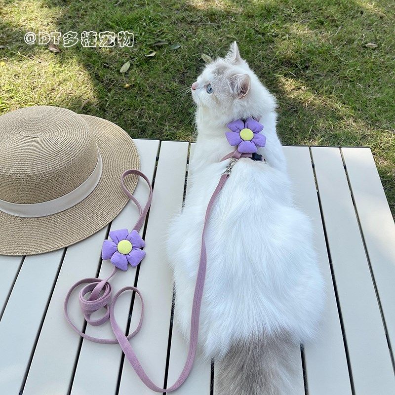幼猫小奶猫专用牵引绳外出留遛溜猫咪工字防挣脱1斤两个月超小号,淘宝优惠券,粉丝福利购,淘宝优惠卷