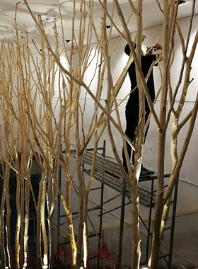 树枝装饰树杈干枝屏风枯树枝干造型去皮原木diy手工造景幼儿园树