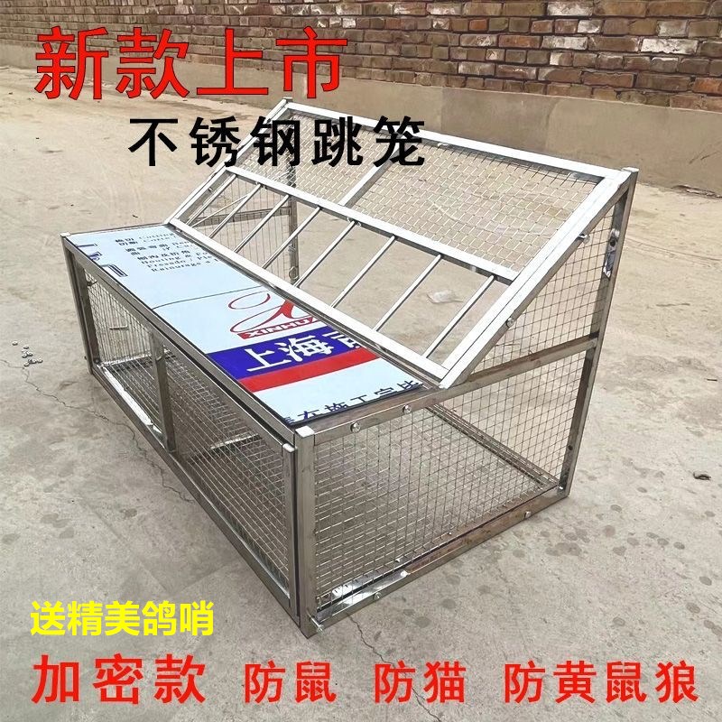 鸽子跳笼不锈钢信鸽跳笼鸽子进出口新款跳门鸽舍鸽棚赛鸽放飞门口 - 图1